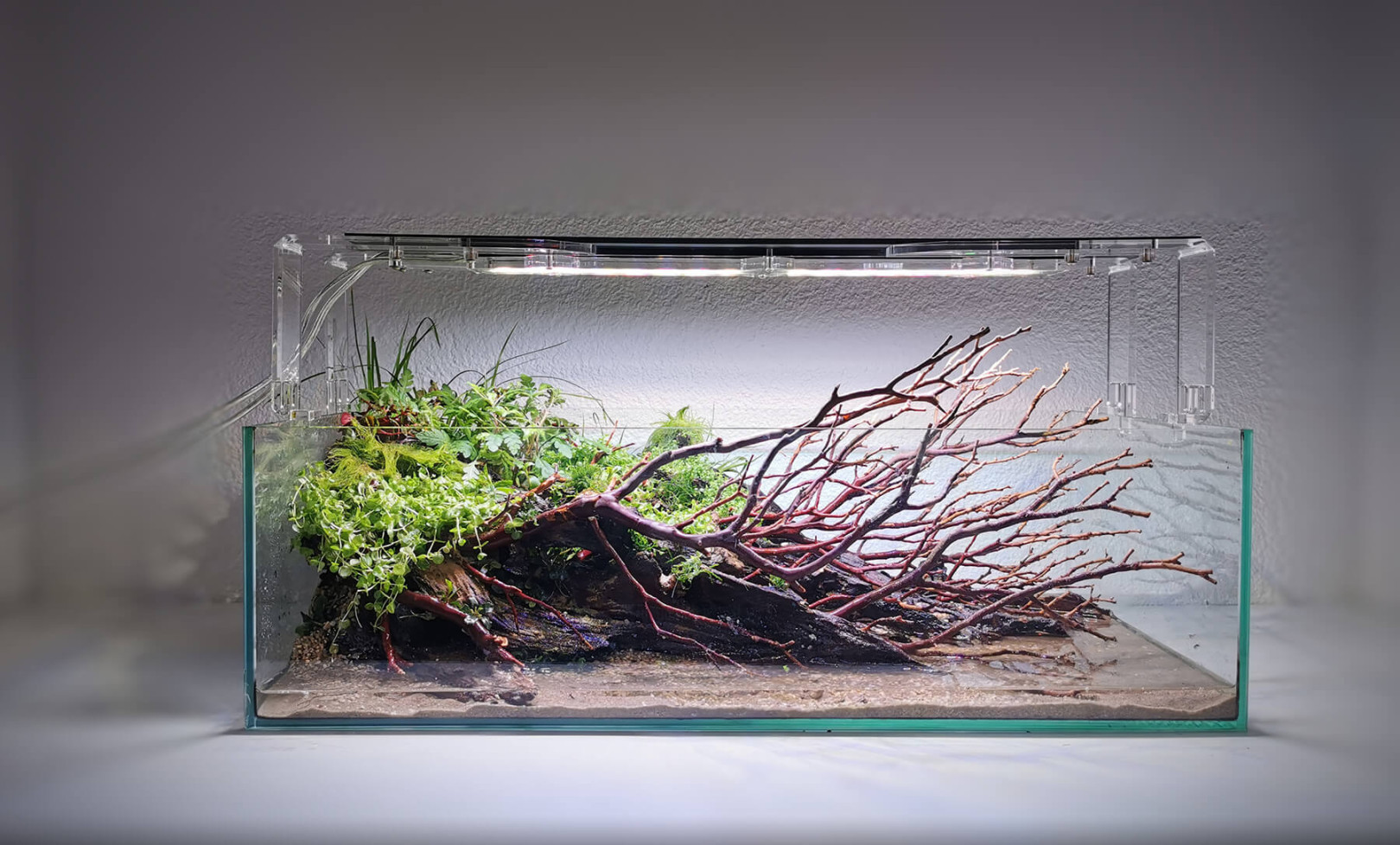 Kies und Sand im Aquarium  Einrichtung  Blog  Garnelen Onlineshop