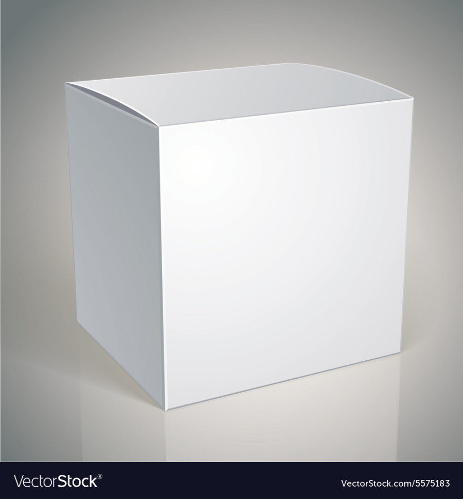 Blank box template for your package design put Vector Image