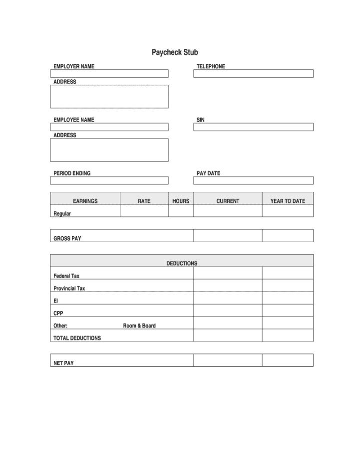 Blank Pay Stub Template - Fill Online, Printable, Fillable, Blank