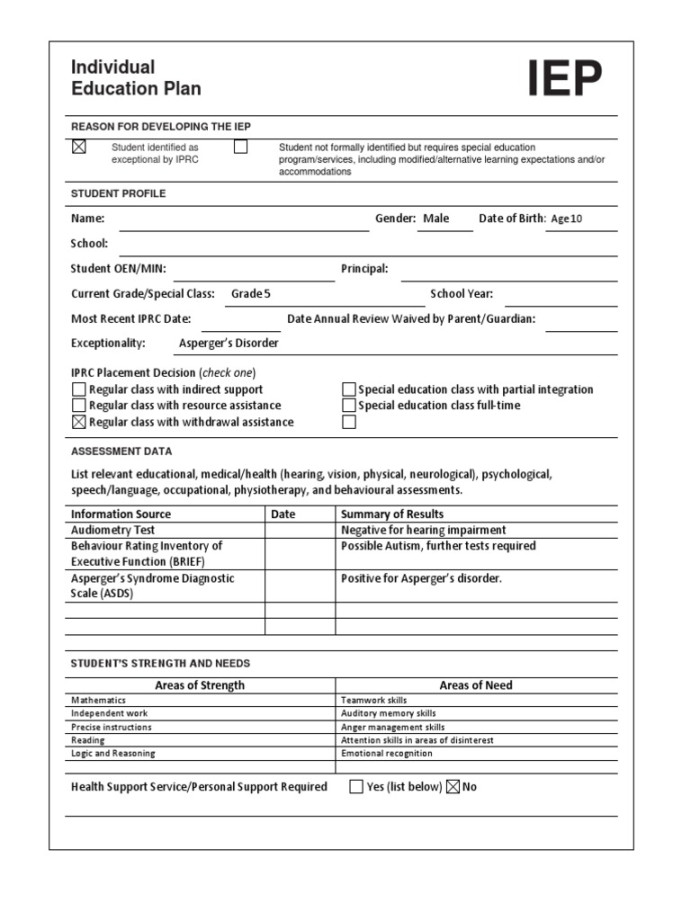 Iep Blank Template   PDF  Individualized Education Program