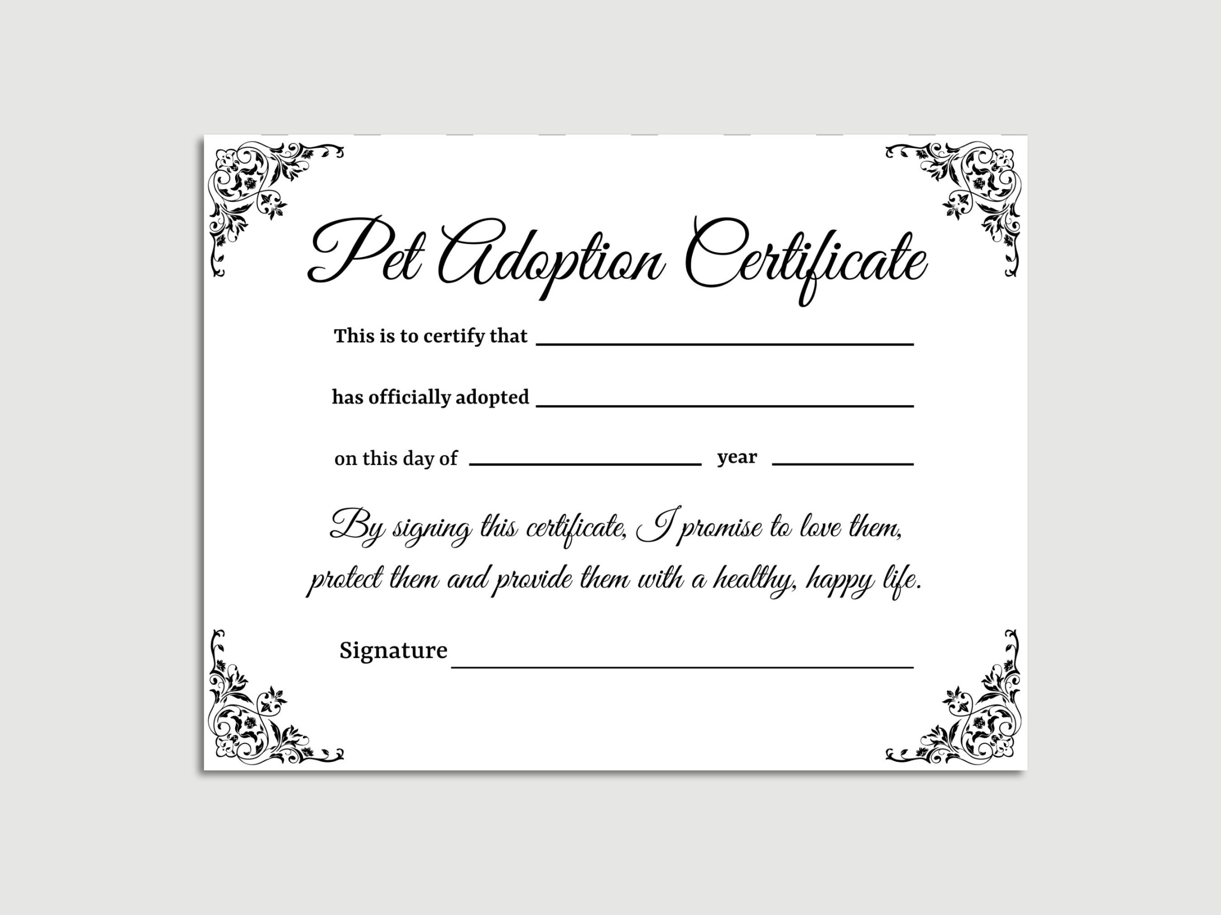 Pet Adoption Certificate Template, Dog Adoption Certificate, Pet