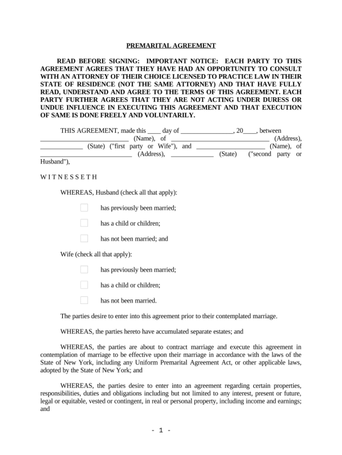 Prenuptial agreement new york pdf: Fill out & sign online  DocHub