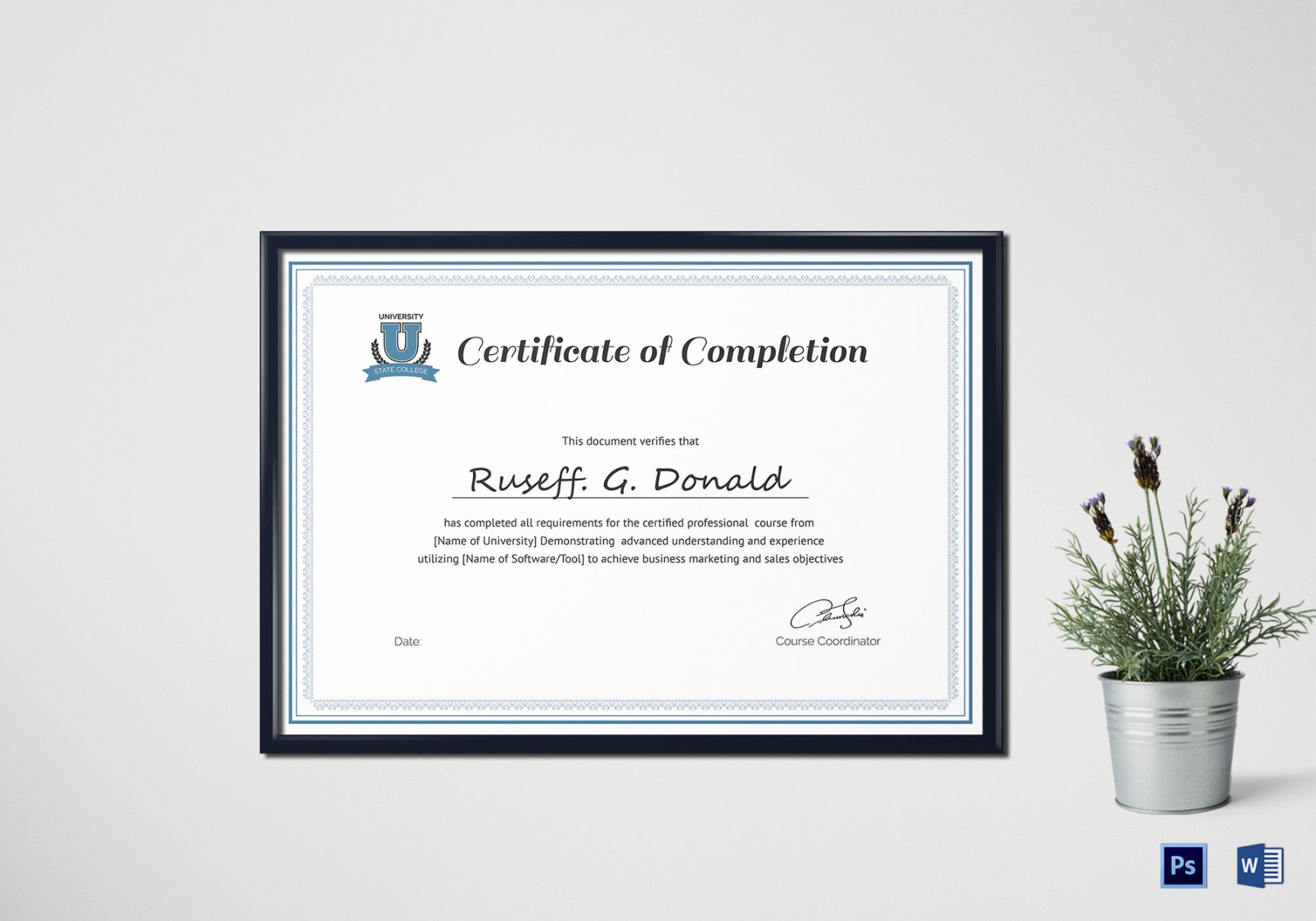 Professional Course Completion Certificate Design Template in PSD